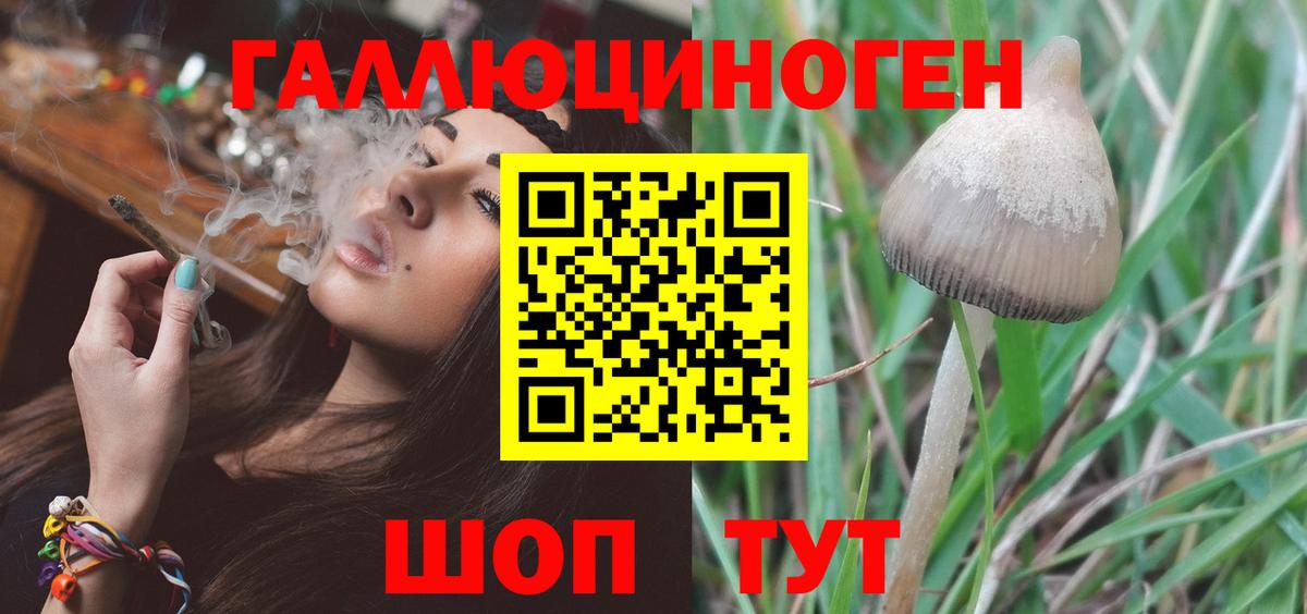 Псилоцибиновые грибы прущие грибы Артёмовский